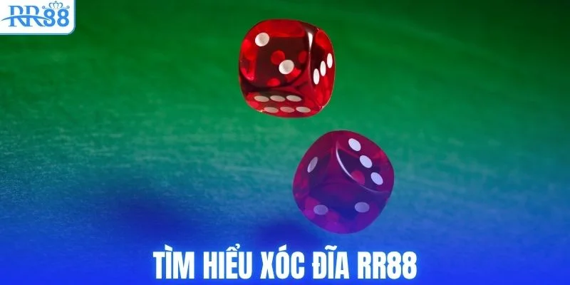 Tìm hiểu xóc đĩa RR88